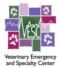 vesc-logo-outlined-in-white-e1366587972897